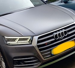 Sq5 neus